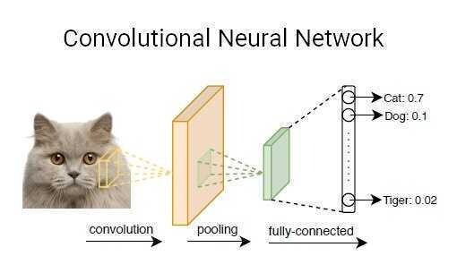 Concept of a Convolutional Neural Network (CNN)